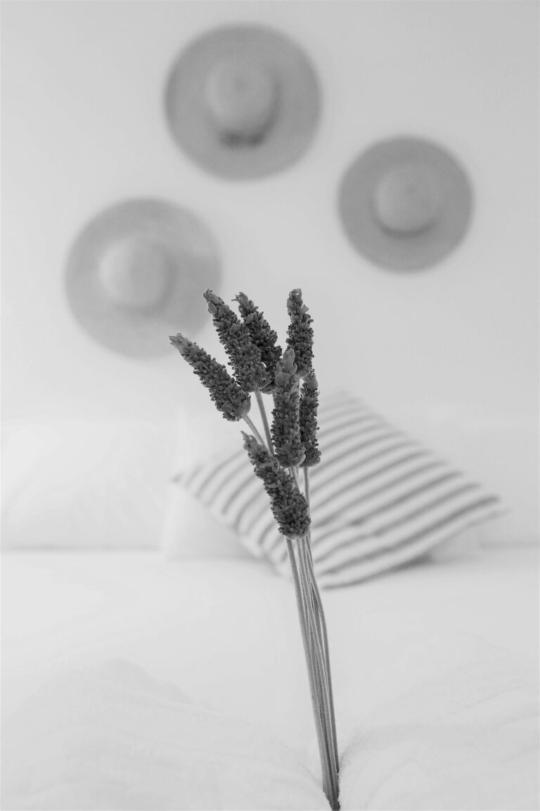 Superior Room no5 (14)